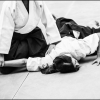 AikidoNoyellesLesSeclin (145)