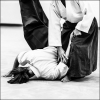 AikidoNoyellesLesSeclin (146)