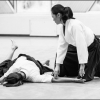 AikidoNoyellesLesSeclin (147)
