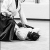 AikidoNoyellesLesSeclin (152)
