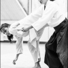 AikidoNoyellesLesSeclin (159)