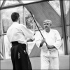 AikidoNoyellesLesSeclin (164)