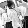 AikidoNoyellesLesSeclin (184)