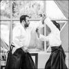 AikidoNoyellesLesSeclin (185)