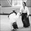 AikidoNoyellesLesSeclin (198)