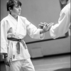 AikidoNoyellesLesSeclin (20)