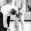 AikidoNoyellesLesSeclin (203)
