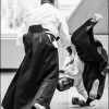 AikidoNoyellesLesSeclin (207)