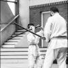 AikidoNoyellesLesSeclin (208)