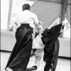 AikidoNoyellesLesSeclin (209)