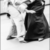 AikidoNoyellesLesSeclin (218)
