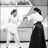AikidoNoyellesLesSeclin (23)