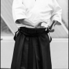 AikidoNoyellesLesSeclin (24)