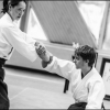 AikidoNoyellesLesSeclin (28)