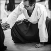 AikidoNoyellesLesSeclin (33)