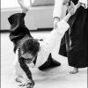 AikidoNoyellesLesSeclin (40)