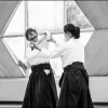 AikidoNoyellesLesSeclin (41)