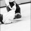 AikidoNoyellesLesSeclin (50)