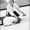 AikidoNoyellesLesSeclin (51)