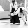 AikidoNoyellesLesSeclin (56)