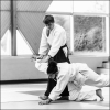 AikidoNoyellesLesSeclin (58)