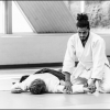 AikidoNoyellesLesSeclin (60)