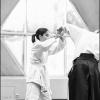 AikidoNoyellesLesSeclin (63)