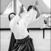 AikidoNoyellesLesSeclin (85)