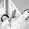 AikidoNoyellesLesSeclin (86)