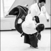 AikidoNoyellesLesSeclin (95)