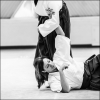 AikidoNoyellesLesSeclin (96)