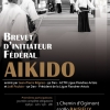 Aikido Noyelles les Seclin