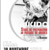 Aikido Noyelles les Seclin - 0000