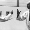 Aikido Noyelles Les Seclin -0015
