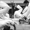 Aikido Noyelles Les Seclin -0050