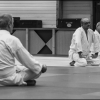Aikido Noyelles Les Seclin -0054
