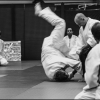 Aikido Noyelles Les Seclin -0057
