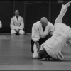 Aikido Noyelles Les Seclin -0058