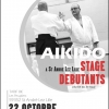 Aikido Noyelles les Seclin - 0000