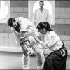 Aikido Noyelles les Seclin 0015