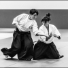 Aikido Noyelles les Seclin 0007
