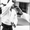 Aikido Noyelles les Seclin 0017
