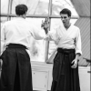 Aikido Noyelles les Seclin 0007