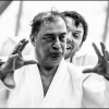 Aikido Noyelles les Seclin 0027