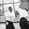 Aikido Noyelles les Seclin 0055