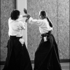 AikidoNoyellesLesSeclin-1