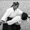 AikidoNoyellesLesSeclin-14