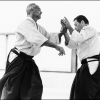 AikidoNoyellesLesSeclin-14
