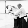 AikidoNoyellesLesSeclin-27